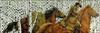 Thumbnail of Photo Number 107